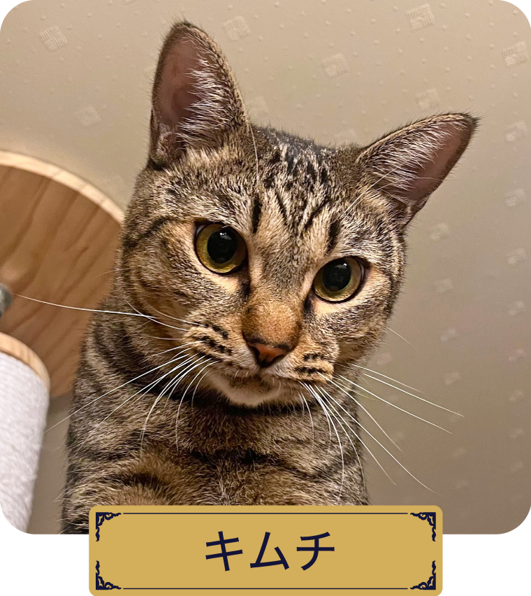 キムチ